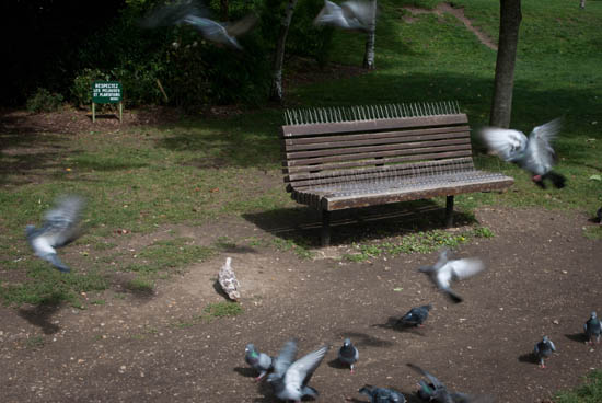 Banc anti-pigeon